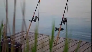 Video Background Stock Footage Free ( Fishing, two spinning rods on the pier )
