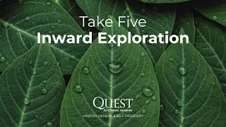 Inward Exploration | Take Five - 5 minute meditation