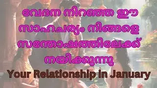 ✨ ഈ ബന്ധത്തിൽ ഒരു സന്തോഷം നിങ്ങളെ തേടിയെത്തിയിരിക്കും✨🫶 #tarot #relationship #healing #astrology
