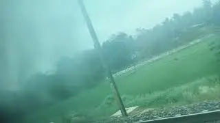 Kerala forest in india #nature#farming #food #train 