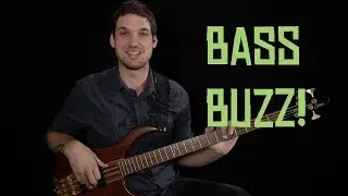 My Big New Beginner Course + Bass Lesson Project!!!