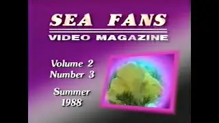 Sea Fans Video Magazine: Volume 2, Number 3 (Summer, 1988)