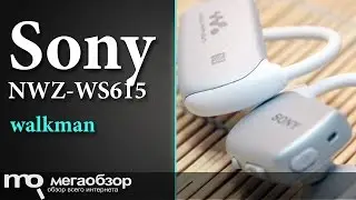 Обзор Sony NWZ-WS615