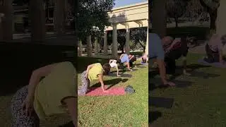 Yoga in Valencia - By veerle