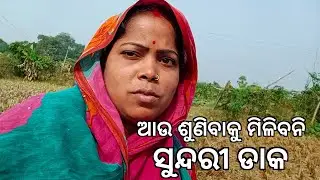 ଆଉ ଶୁଣିବାକୁ ମିଳିବନି ସୁନ୍ଦରୀ ଡାକ //#youtube #vlog //@sailifestyle
