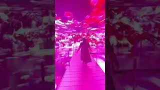 Bloomtanica free art exhibition in NYC
