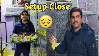 Sad news 😔 Setup khatam 😭 #birdsvlog #moonaviary #lovebirds