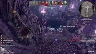 How to beat Viconia easily using Hunger of Hadar. Baldur's Gate 3