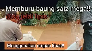Memburu ikan baung saiz MEGA menggunakan umpan khas!!!@ sg jelai lipis