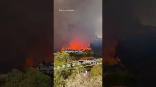Palisades fire devastates Los Angeles County neighborhoods