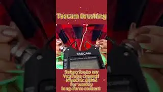 ASMR Brain Massage 🧠💆💆&zwj;♀️ Intense Tascam Brushing #asmrbrushing #tascamasmr #tascam #asmrsounds