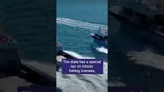 Weird Tax Law - Maine