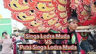 Singa Lodra Muda VS Putri Singa Lodra Muda #singadangdut #video