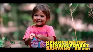 Крымский лес - Crimean forest