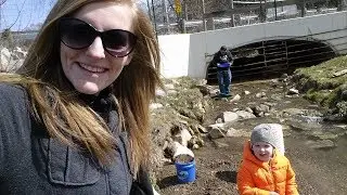 Culvert Gold 2018