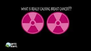 Nuclear Power Plant Breast Cancer Cluster 11-4-2013 | Organic Slant