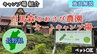 キャンプ場紹介 白馬森のわさび農園オートキャンプ場【施設解説】