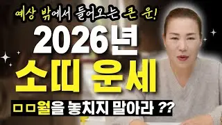 🌟2026년 병오년 전체적인 소띠운세🌟 소띠분들은 ㅁ월을 절대 놓치면 안 됩니다! [양평용한점집 청화신당]