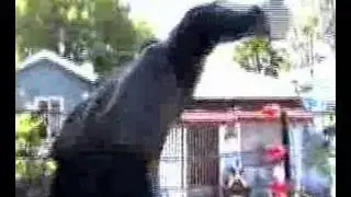 wrestling the invisible man