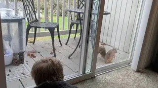 Squirrel Storytime: We are Water Protectors with Big Red, Arnold, and Lil Muncher.