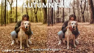 Autumn Fall Presets For Lightroom - Autumn Presets - AAA Presets