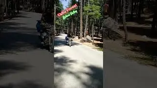 Ushu Forest | Kalam Valley | Bike Tour #scenicjourney #journeycontinue #adventureexploring #mountain