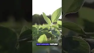 Green Biotechnology  Paving the Way for a Sustainable Future 🌱