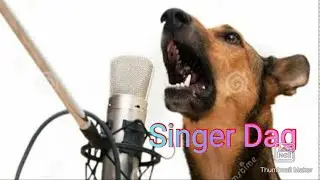 Bachhader jonno majar ekta video