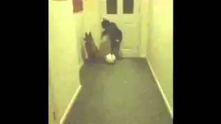 Mix of me and my brother dancing (cool)