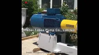 A43 350, APP61 500, A53 400 Sulzer Ahlstar Equivalent Pumps for Sugar Industrial