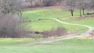 548 Glynneath Golf Club . Smithy 100 Golf Courses in a Year