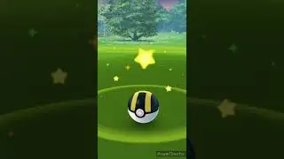 HOOPA?!