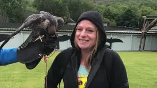 Video 3/3 University of Limerick, Ireland @UL study abroad course.  3 weeks in Limerick and Ireland