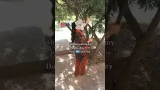 solo trip in Pakistan ✨😂🐥🤎 #college #thehabitgirlmethod #minivlog