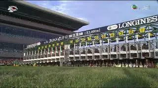 2017 Japan Cup International Group 1 2400m