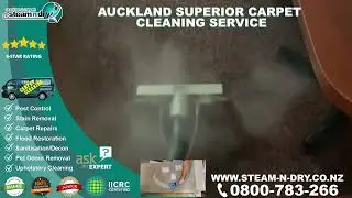 Expert Carpet Cleaning Auckland Steam n Dry Service 1987
