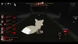 Tails Solo Sonic.exe The Disaster Reborn