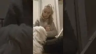 Een manier om.je hond te leren stoppen met blaffen. 