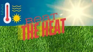 5 Essential Tips to Prevent Lawn Heat Damage & Keep Your Grass Lush All Summer!