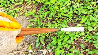 Blacksmithing, Knife Making - Forging A GRASS CUTTER From LEAF SPRING.!