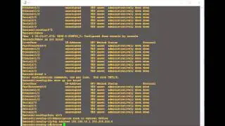 Single Router Setup