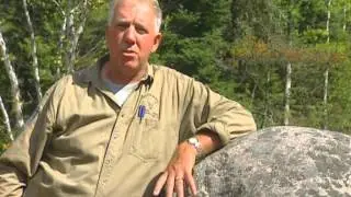 Shadows of the Forest - Biology of Woodland Caribou