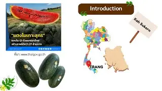Soil Properties in Beach and Paddy Field Areas on the Growth and Sweetness of Koh Sukorn Watermelons