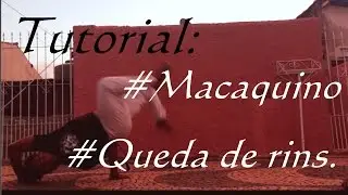 Tutorial #24 Aú/Queda de rins/Macaquinho/Carneirinho.