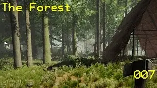 Forest#007 Gro&szlig;bauprojekte... OH DYNAMIT!
