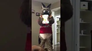 Changies are needed (baby fur diaper fur content warning)