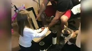 Cat tree build