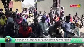 Le Journal de Parlement TV du 29 Janvier 2026
