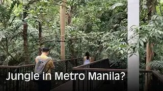 Manila&rsquo;s Hidden Jungle: I Found a Forest in the Middle of the City! 🇵🇭
