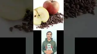 Why Apple Seeds can be harmful?? Cyanide Poisoning|#shorts #youtube#viral#health #science#india#me